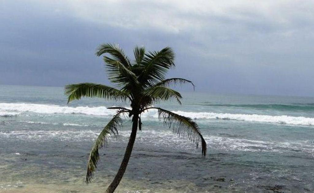 Kixi Beach Unawatuna Exteriör bild